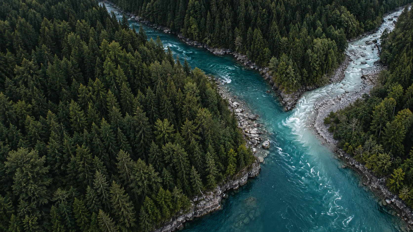 Concept image of two rivers joining amid a dense forest